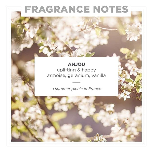 Zents Eau de Parfum (Anjou) for Women & Men | Long-Lasting Clean Fragrance with Armoise, Jasmine & Geranium | Fresh & Floral Scent | 1.69 oz