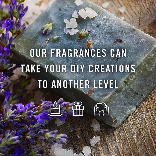 P&J Trading Fragrance Oil Love Set | Rose, Amber, Lotus Blossom, Passion Fruit, Vetiver, Orange Candle Scents for Candle Making, Freshie Scent, Soap Making Supplies, Diffuser Oil Scents