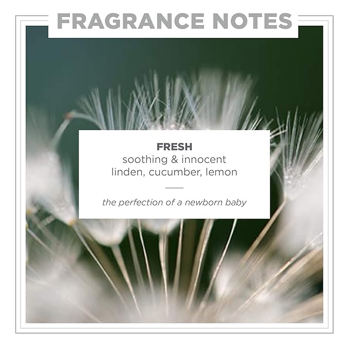 Zents Eau de Parfum (Fresh) for Women & Men | Long-Lasting Clean Fragrance with Linden Blossom, Cucumber & Lemon | Crisp & Refreshing Scent | 1.69 oz