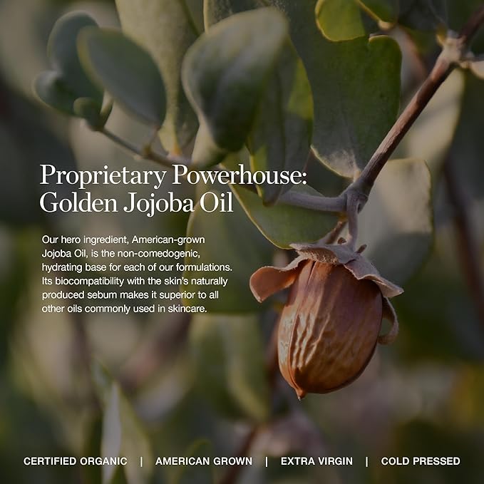 Ogee Complexion Perfecting Liquid Foundation - Lightweight Tinted Moisturizer For Face (Maple 8.25W - Medium Deep, Golden Bronze Undertones) - with Vitamin C & Jojoba Oil - Certified Organic