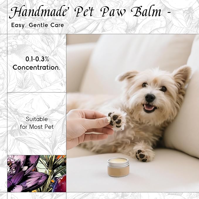 HIQILI Looking for Myself Fragrance Oil for Diffuser, DIY Candle, Soap, Perfume Making, Long Lasting Warm & Sweet Scents - 1 Fl Oz